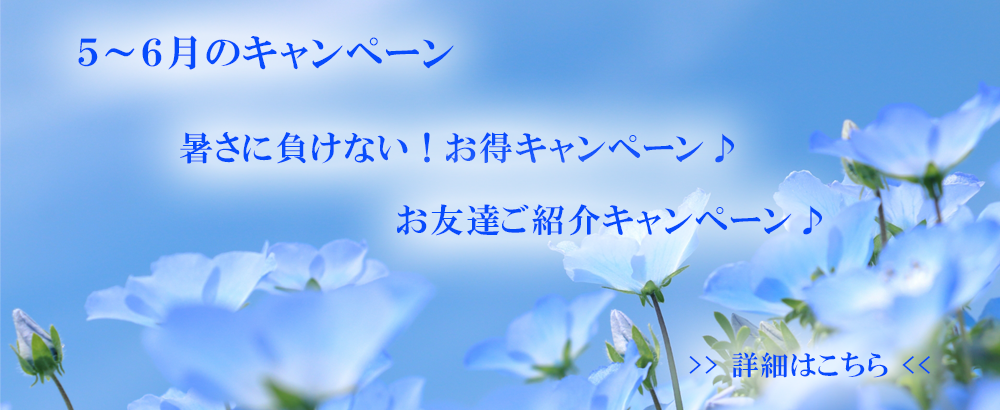 5～6月のキャンペーン