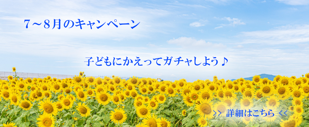 7～8月のキャンペーン