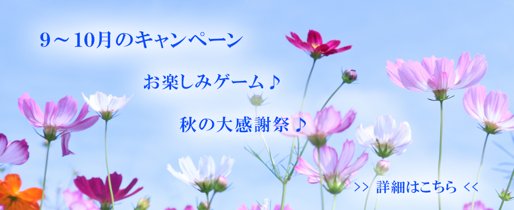 9～10月のキャンペーン