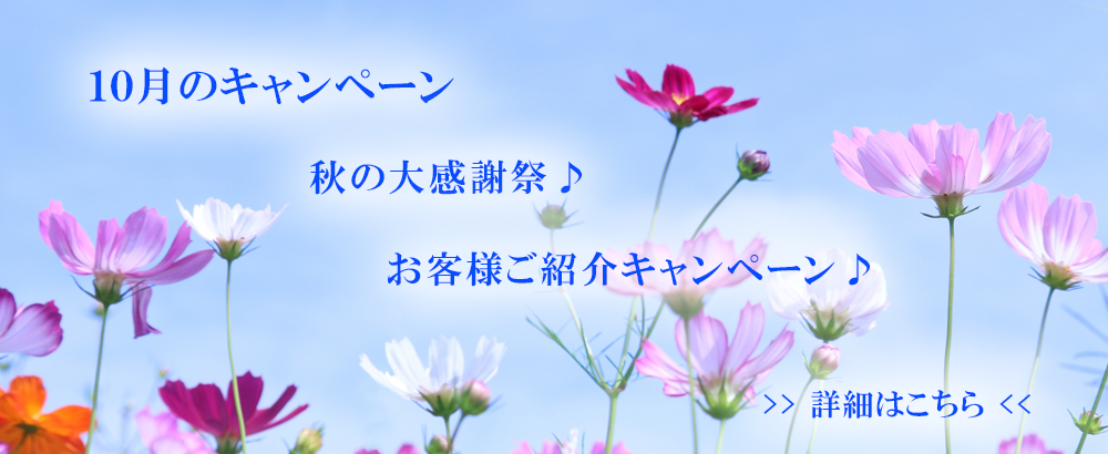 10月のキャンペーン