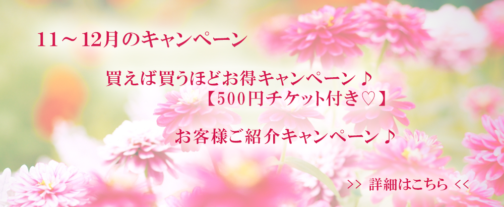 11～12月のキャンペーン
