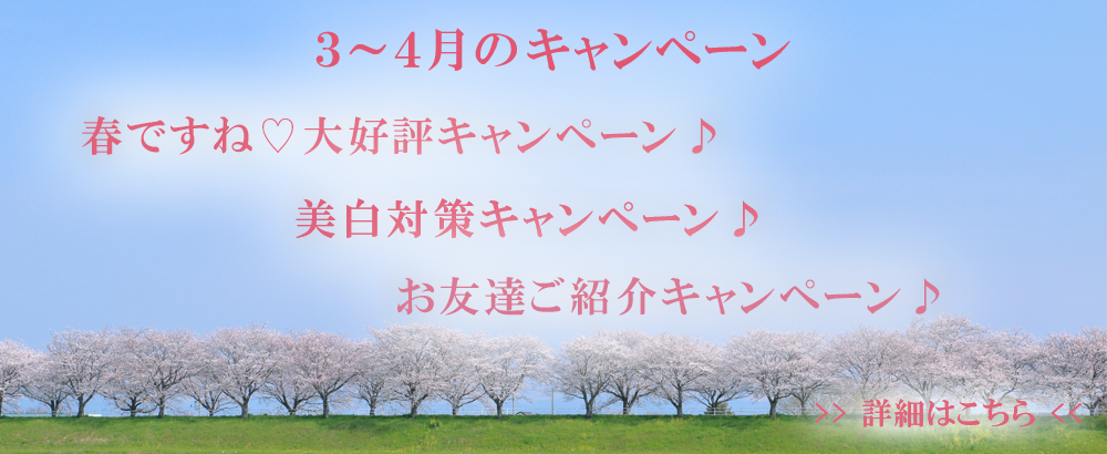 3～4月のキャンペーン
